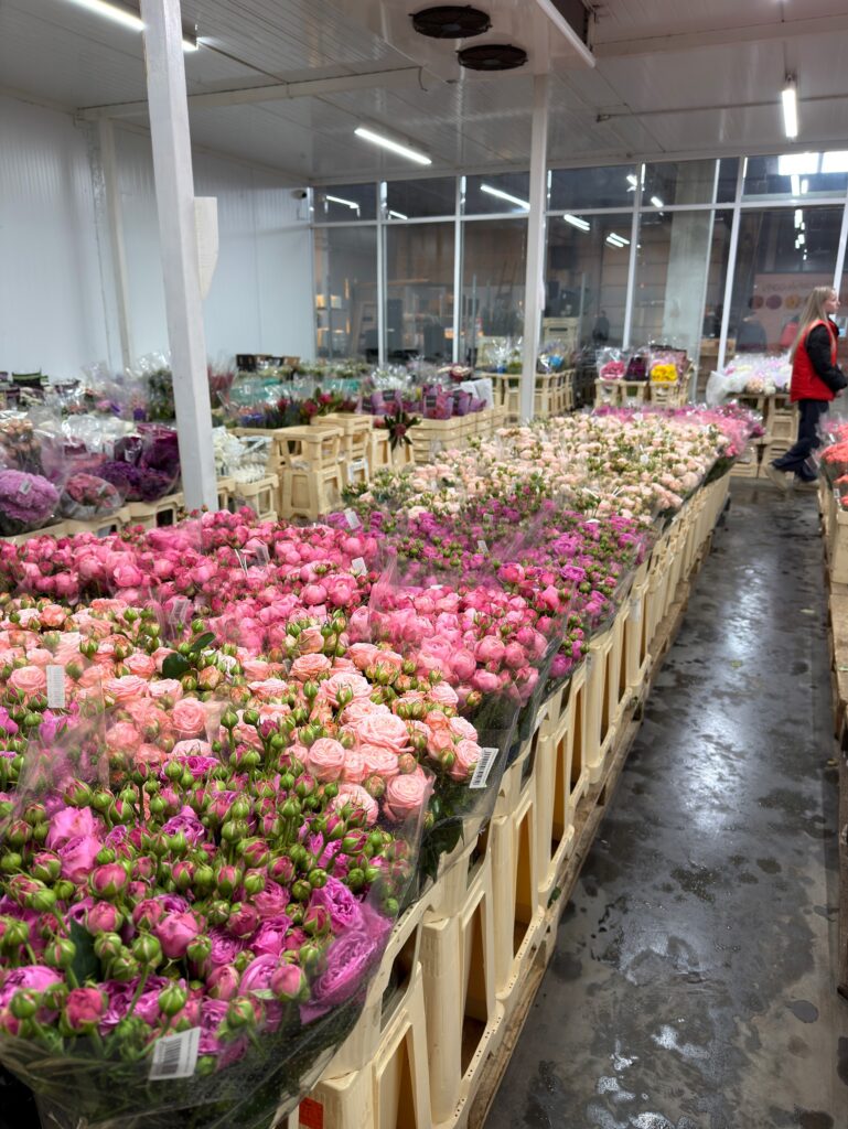 April Cash&Carry — фото 2