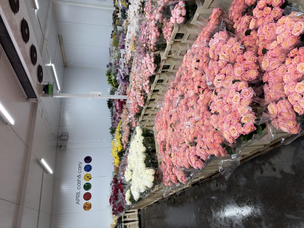 April Cash&Carry — фото 3